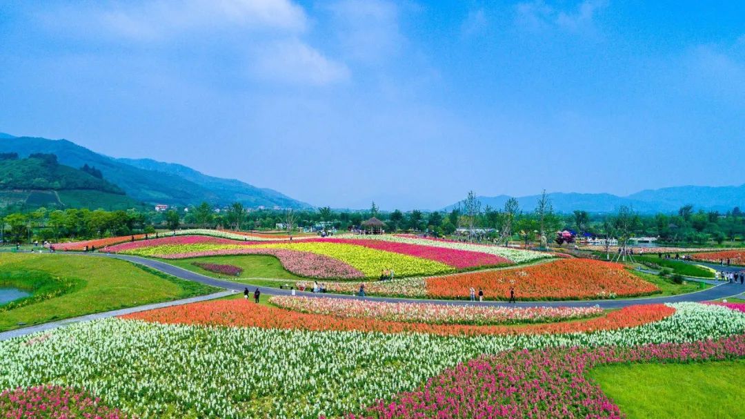 径山花海