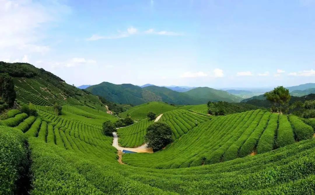 来大径山 用媲美拉萨的澄澈空气"洗洗肺"