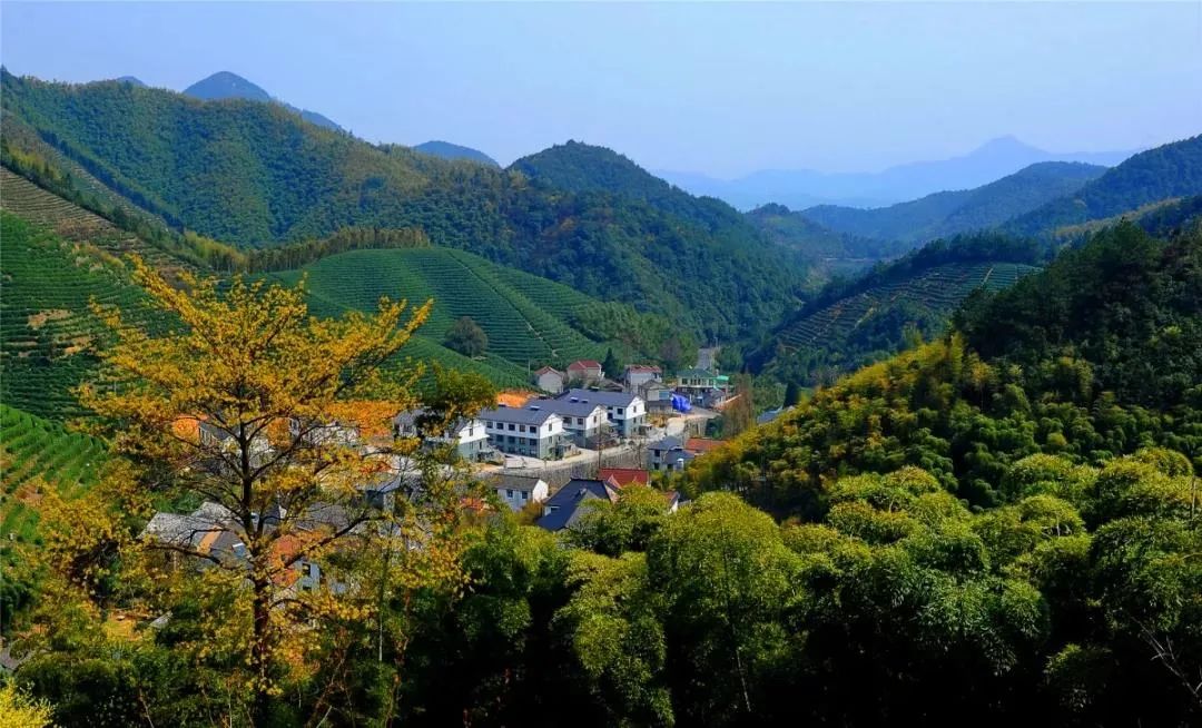 径山镇这个村上榜2020年全国乡村特色产业十亿镇亿元村!